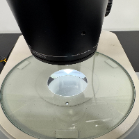 Nikon SMZ800N Stereo Microscope image 3